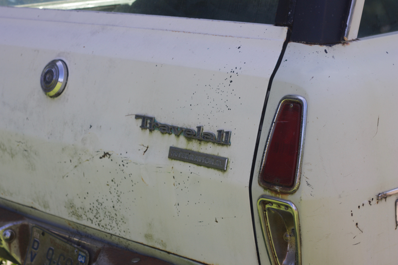 Illustration for article titled This International Harvester Travelall Was A Bountiful Find